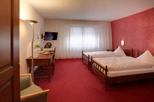 Imagen de la habitación del Hotel Eremitage. Foto 13