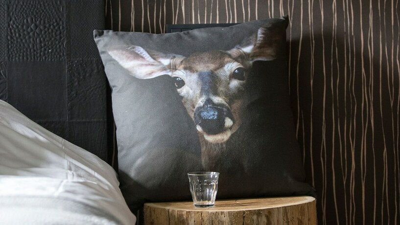 Imagen general del Hotel Erfgoed Bossem. Foto 5