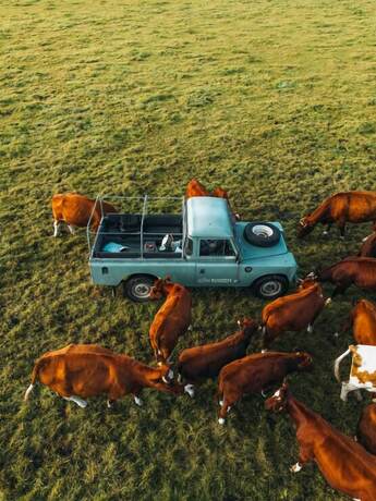 Imagen general del Hotel Erfgoed Bossem. Foto 7