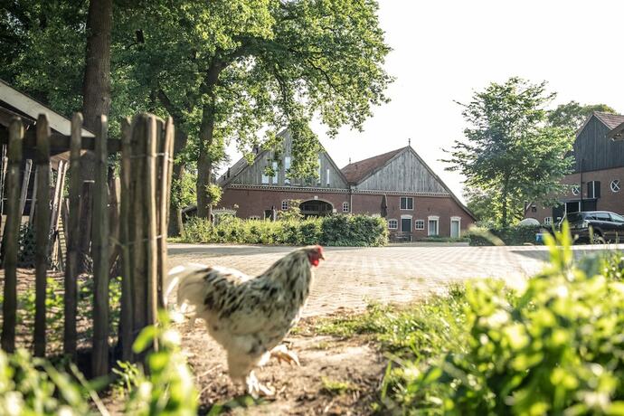 Imagen general del Hotel Erfgoed Bossem. Foto 14