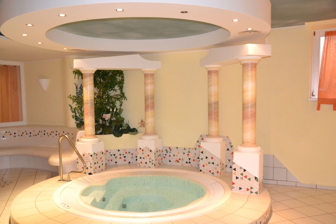 Imagen de la piscina del Hotel Erhart. Foto 16