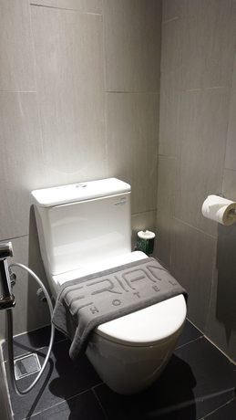 Imagen de la habitación del Hotel Erian. Foto 6