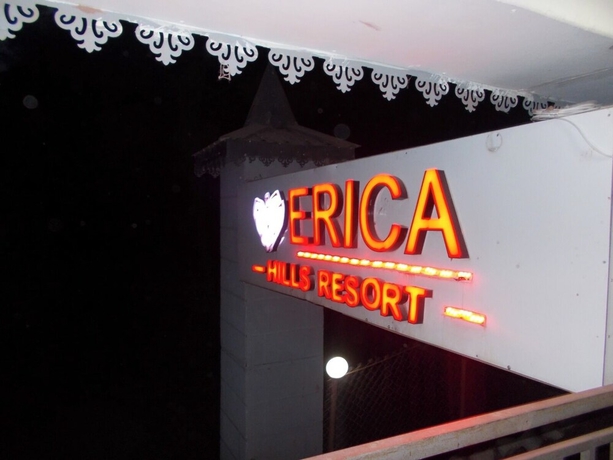 Imagen general del Hotel Erica Hills Resort Kasauli. Foto 3