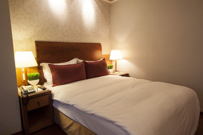 Imagen de la habitación del Hotel Erin. Foto 8