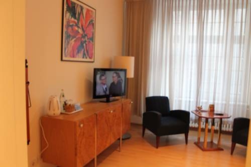 Imagen general del Hotel Erlanger Hof. Foto 2