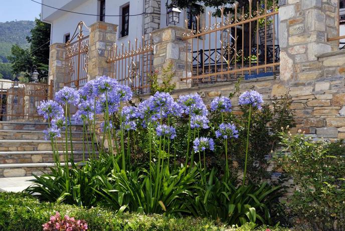 Imagen de los exteriores del Hotel Erofili Four Seasons. Foto 7