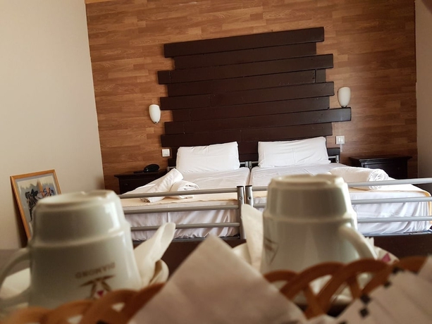 Imagen de la habitación del Hotel Erts Boutique. Foto 2