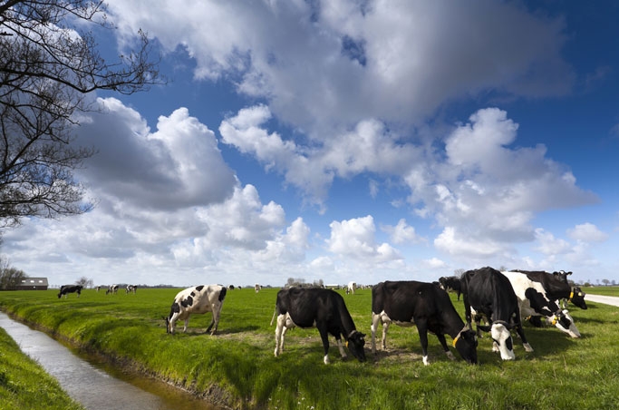 Imagen de los exteriores del Hotel Erve Höwerboer. Foto 4