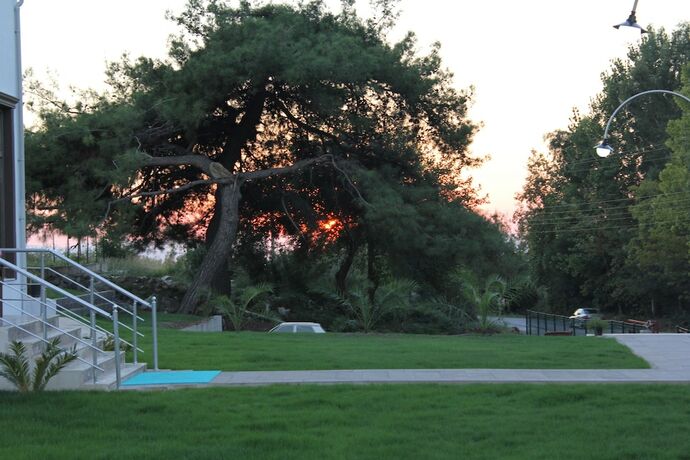 Imagen general del Hotel Erzin Artemis Otel. Foto 9