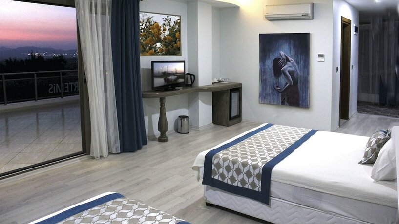 Imagen de la habitación del Hotel Erzin Artemis Otel. Foto 20