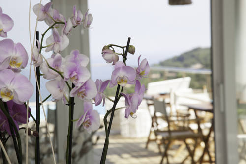 Imagen de la habitación del Hotel Es Cel De Begur. Foto 6