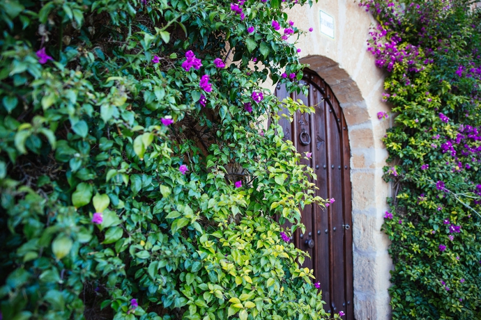 Imagen general del Hotel Es Lloquet. Foto 2