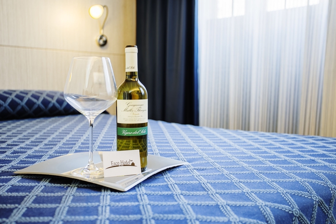 Imagen de la habitación del Hotel Esco. Foto 8