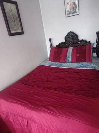 Imagen general del Hotel Escocie - Hostel. Foto 6