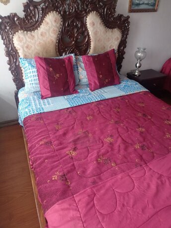 Imagen general del Hotel Escocie - Hostel. Foto 10