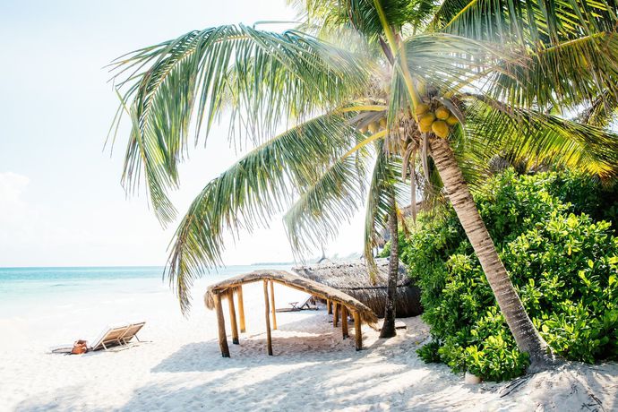 Imagen de la habitación del Hotel Esencia. Foto 5