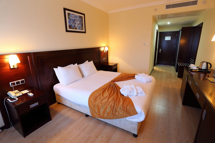 Imagen de la habitación del Hotel Eser Diamond and Convention Center. Foto 12