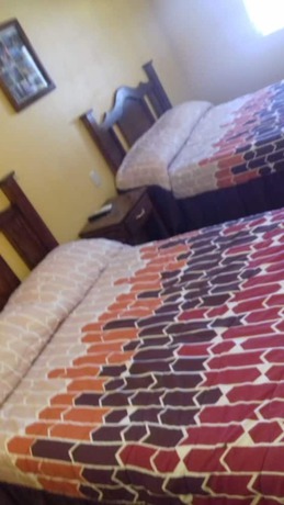 Imagen de la habitación del Hotel Esmeralda Barrancas. Foto 14