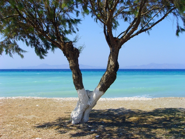 Imagen de los exteriores del Hotel Esmeralda, Kremasti. Foto 15