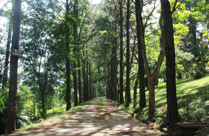 Imagen general del Hotel Espa&ccedil;o Casa Grande - Charme. Foto 2
