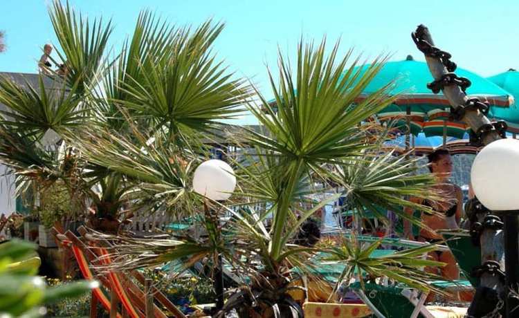 Imagen general del Hotel Esperia, Piombino. Foto 2