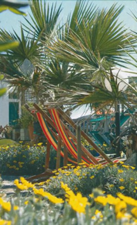 Imagen general del Hotel Esperia, Piombino. Foto 3