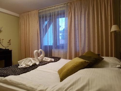 Imagen general del Hotel Esprit, Brasov. Foto 5