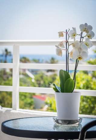 Imagen de la habitación del Hotel Essential Summer - Adults only. Foto 6