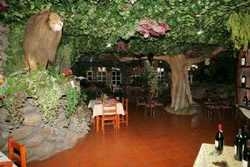 Imagen general del Hotel Estalagem Pico Da Urze. Foto 6