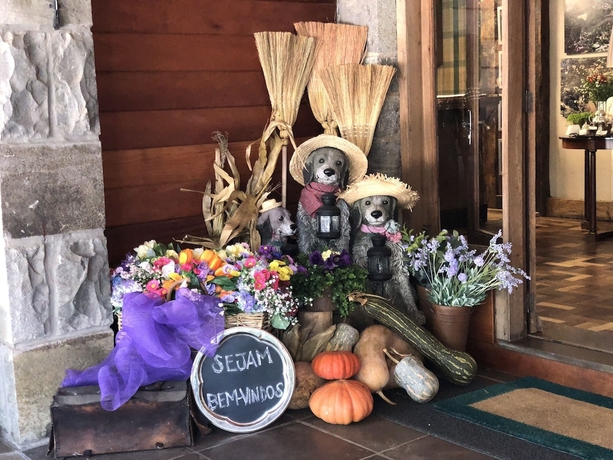 Imagen de los interiores del Hotel Estalagem St Hubertus. Foto 18