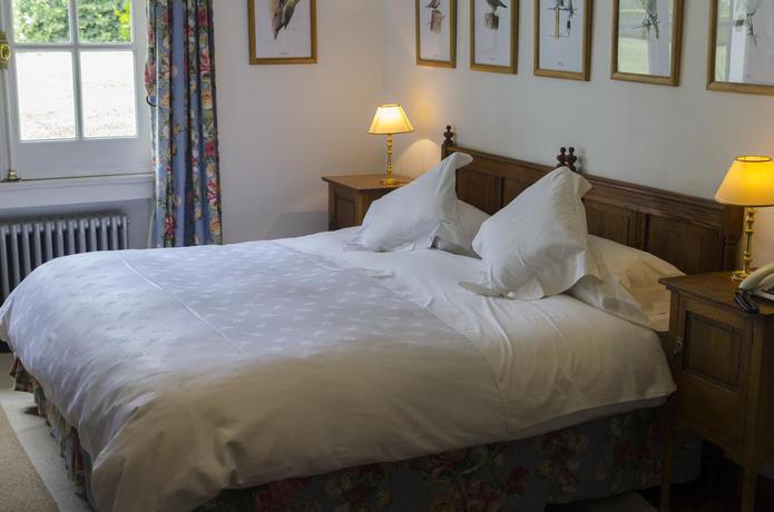 Imagen de la habitación del Hotel Estancia Ave Maria. Foto 7