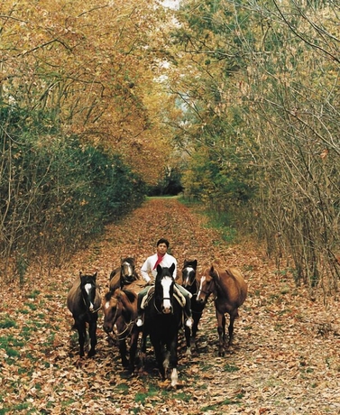 Imagen de los interiores del Hotel Estancia La Candelaria. Foto 18
