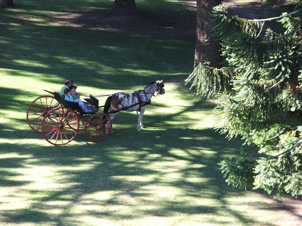 Imagen de los exteriores del Hotel Estancia La Candelaria. Foto 15
