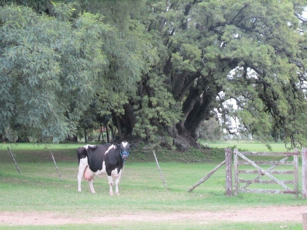 Imagen de los exteriores del Hotel Estancia La Porte&ntilde;a De Areco. Foto 11