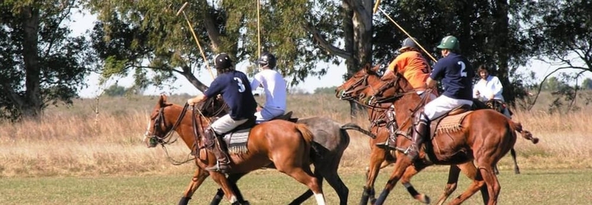 Imagen general del Hotel Estancia La Rosita. Foto 3