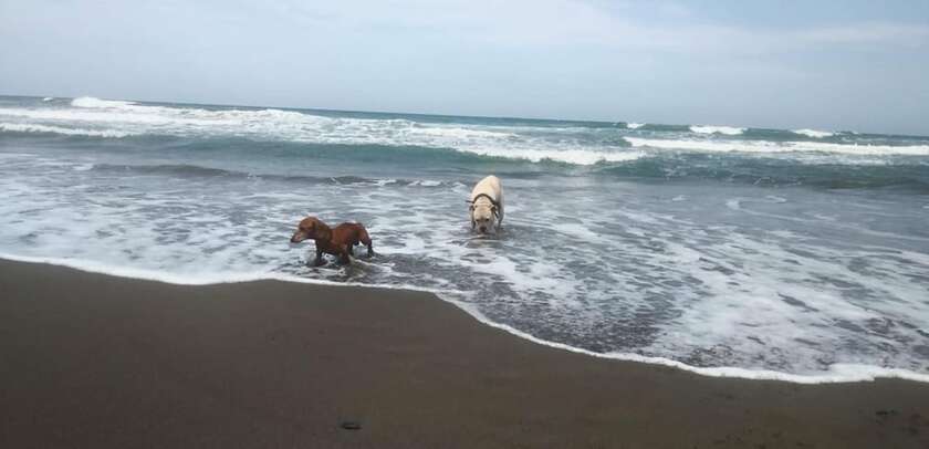 Imagen general del Hotel Estancia de Cort&eacute;s. Foto 2