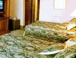 Imagen de la habitación del Hotel Esteghlal East Wing. Foto 3