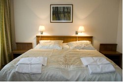 Imagen general del Hotel Estella Superior. Foto 13