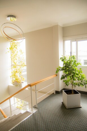 Imagen de los interiores del Hotel Estepa. Foto 34