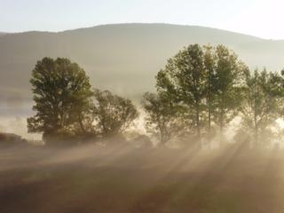 Imagen de los exteriores del Hotel Esther. Foto 7