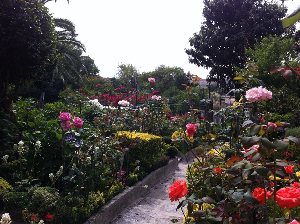 Imagen de los exteriores del Hotel Estoril Porto. Foto 6