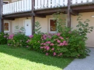 Imagen de los exteriores del Hotel Et Residence Bartenheim. Foto 6