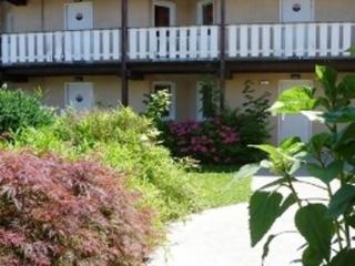 Imagen de los exteriores del Hotel Et Residence Bartenheim. Foto 7