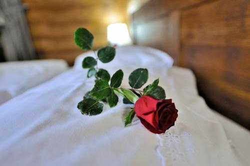 Imagen de la habitación del Hotel Ethno Houses Plitvica Selo. Foto 8