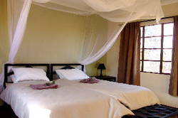 Imagen de la habitación del Hotel Etosha Safari Camp. Foto 3