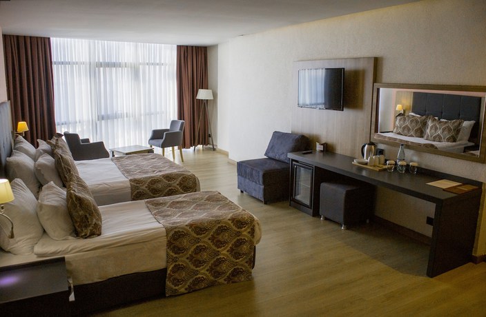 Imagen de la habitación del Hotel Euphoria Batumi. Foto 13