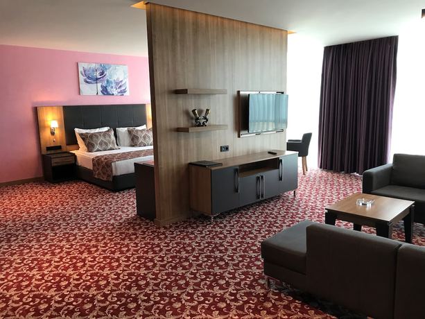 Imagen de la habitación del Hotel Euphoria Batumi. Foto 18