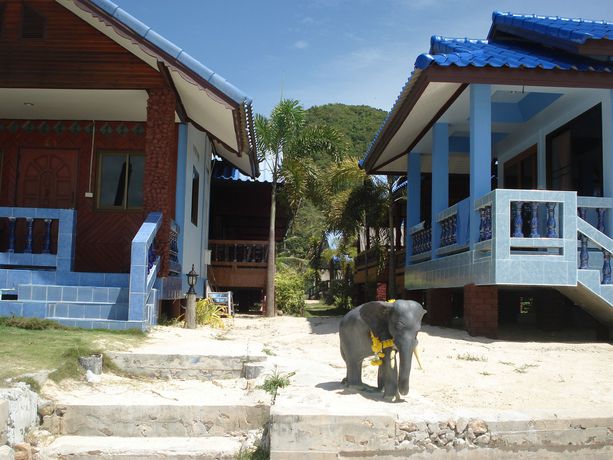 Imagen general del Hotel Euphoria Bungalow. Foto 1