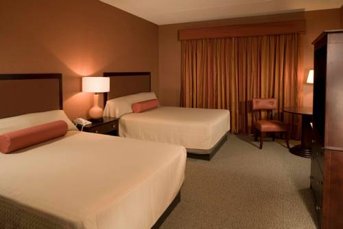 Imagen de la habitación del Hotel Eureka Casino Resort. Foto 14