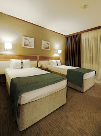 Imagen de la habitación del Hotel Euro Park Bursa. Foto 9